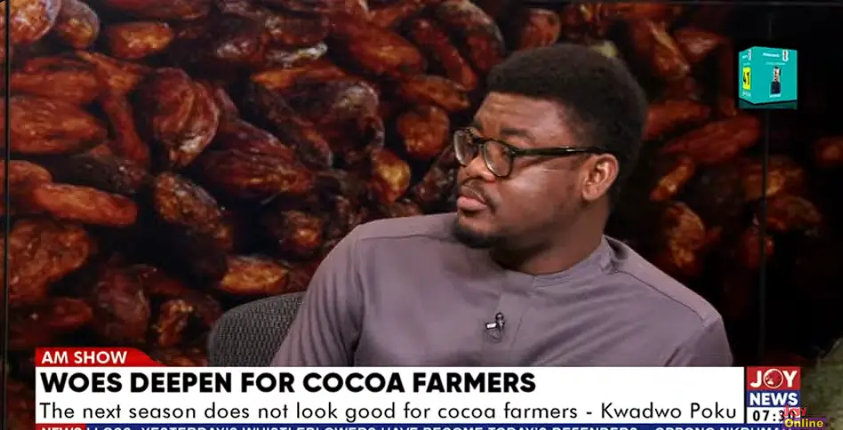 Gov’t assures fair returns for cocoa farmers despite expected global price drop