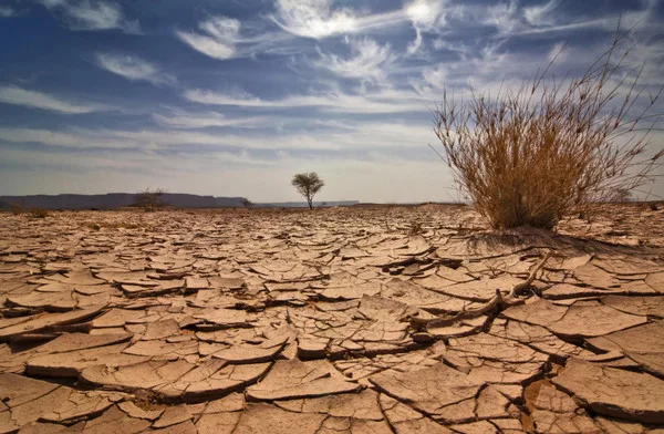 CJID expands support for environmental and climate journalism in West Africa