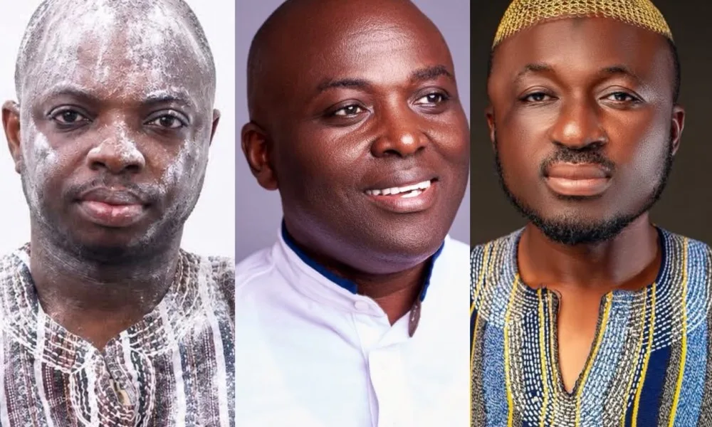 List of NPP Regional Chairmen