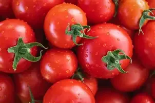 Government will end tomato import dependence in four months – Eric Opoku