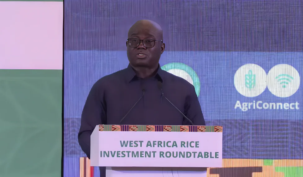 Government to tie rice imports to local production in major policy shift