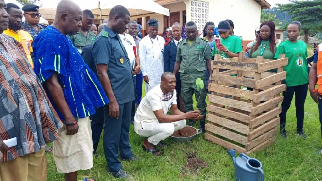 Begoro District Forestry to plant 160,000 trees under ‘Tree for Life’ initiative