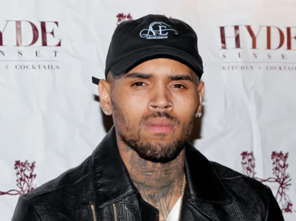 Chris Brown ordered to pay $13 million after housekeeper got mauled by his dog