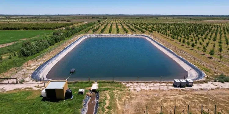 Ashaiman Irrigation Scheme under threat as encroachment engulfs farmland – Kojo Akoto Boateng