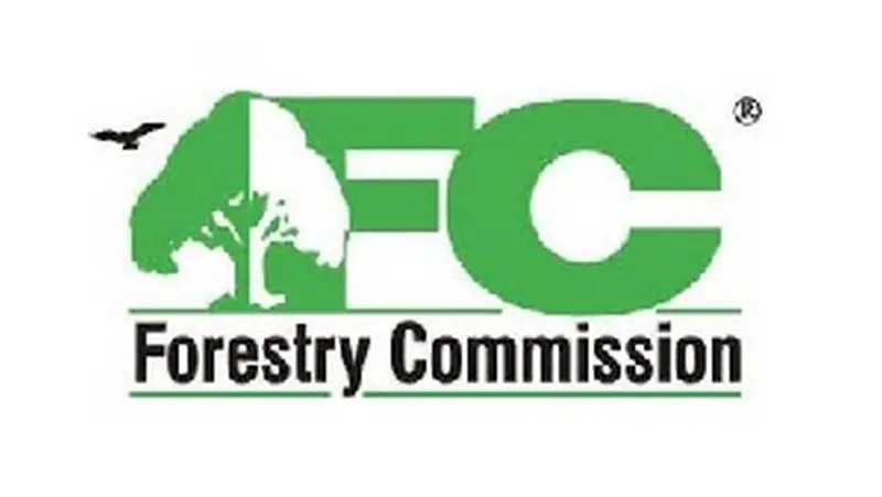 Forestry Commission pushes for tougher powers to fight illegal mining in reserves