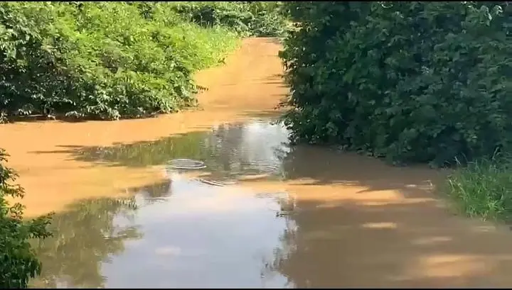 Tano North MP sounds alarm over galamsey devastation, accuses officials of shielding perpetrators