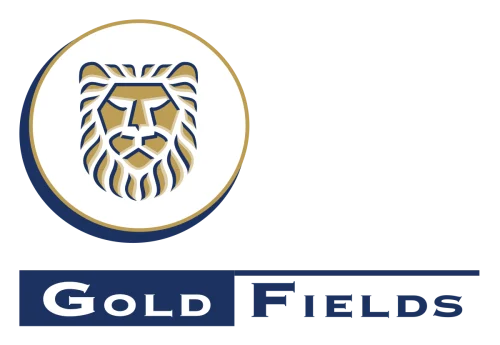 Pressure mounts on Goldfields Ghana over delayed Damang inner roads project