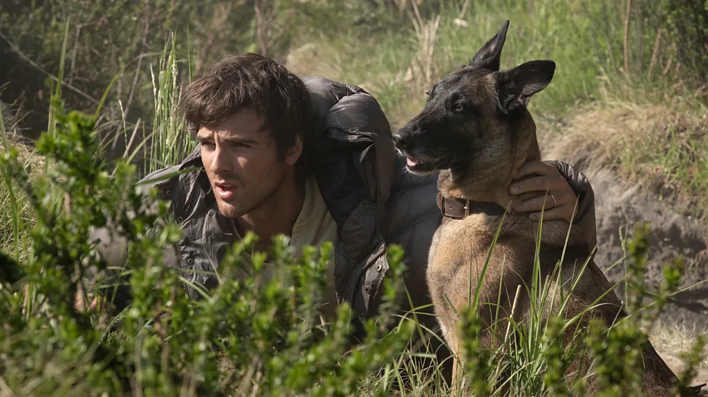 The Dog Stars to One Night Only: 10 of the best films to watch this August
