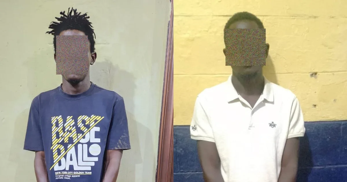 Two brothers arrested over killing of car dealer at Tuba