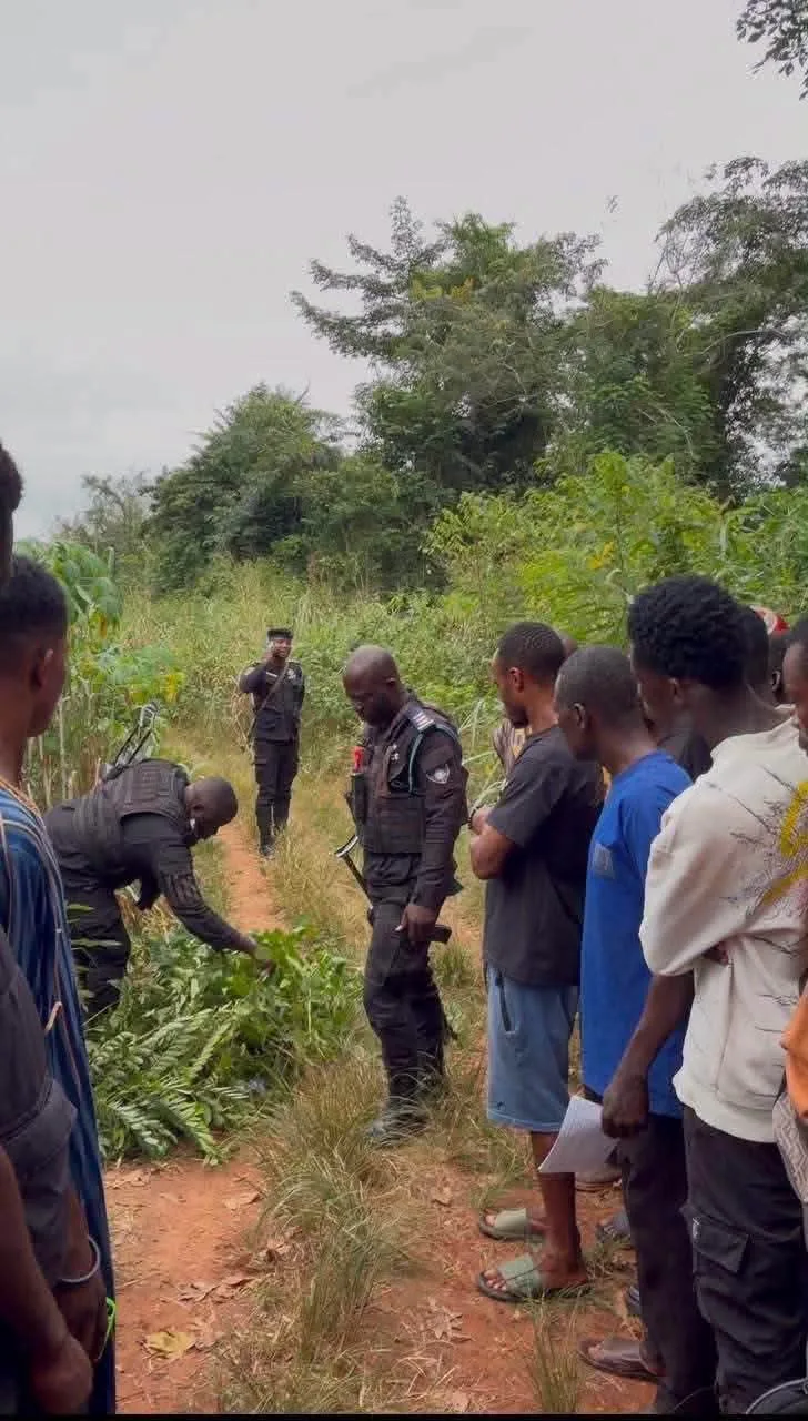 Young pragya driver found dead near Koforidua