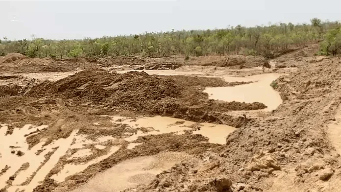 Ghana loses 8,900 hectares of forest reserves to illegal mining
