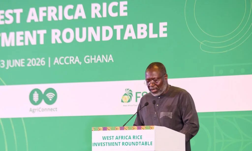 ECOWAS targets rice self-sufficiency by 2035, seeks investment to close supply gap
