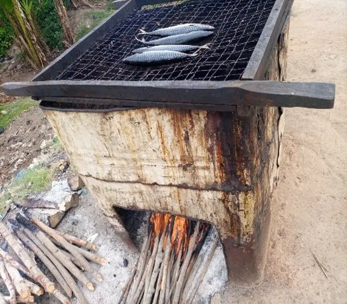 Older mangrove woods for smoking fish contain high levels of cancer-causing agents – KNUST study