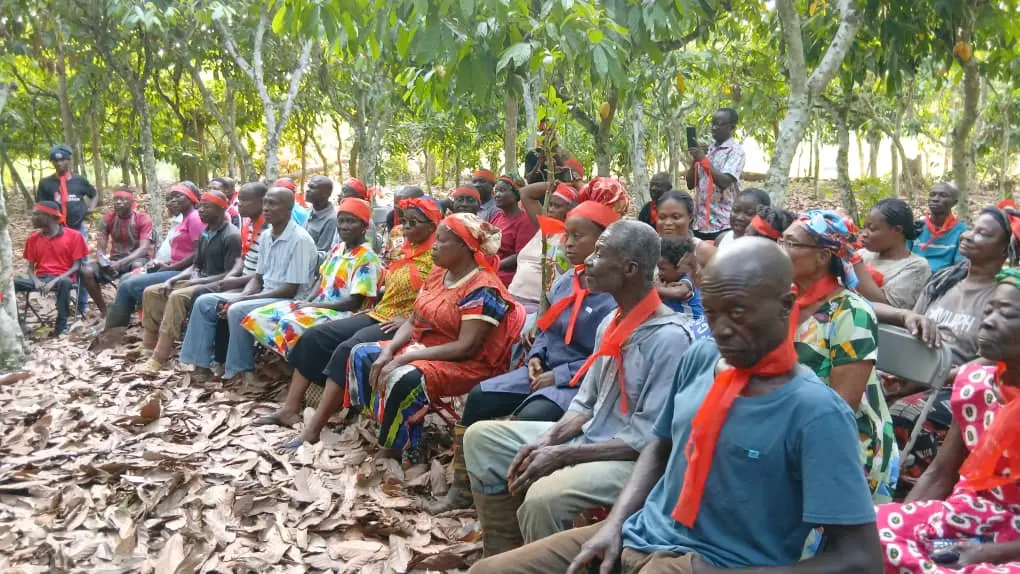 Minority urges cocoa farmers to resist galamsey pressure amid price cut outrage