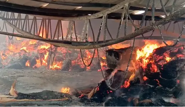 Fire razes plywood company at Asempaneye
