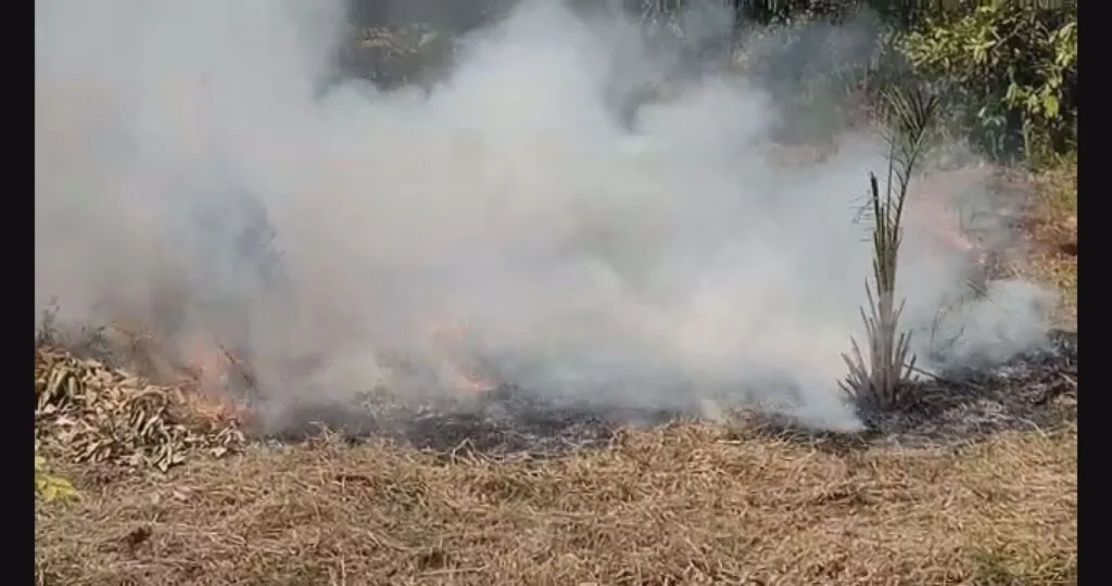 Ghana farmers’ burning practices fuel growing air pollution and environmental crises