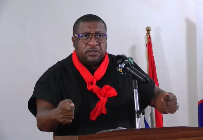 Sedina Tamakloe acquittal politically motivated and orchestrated – NPP