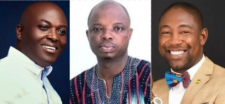 Full list of newly elected NPP regional chairmen