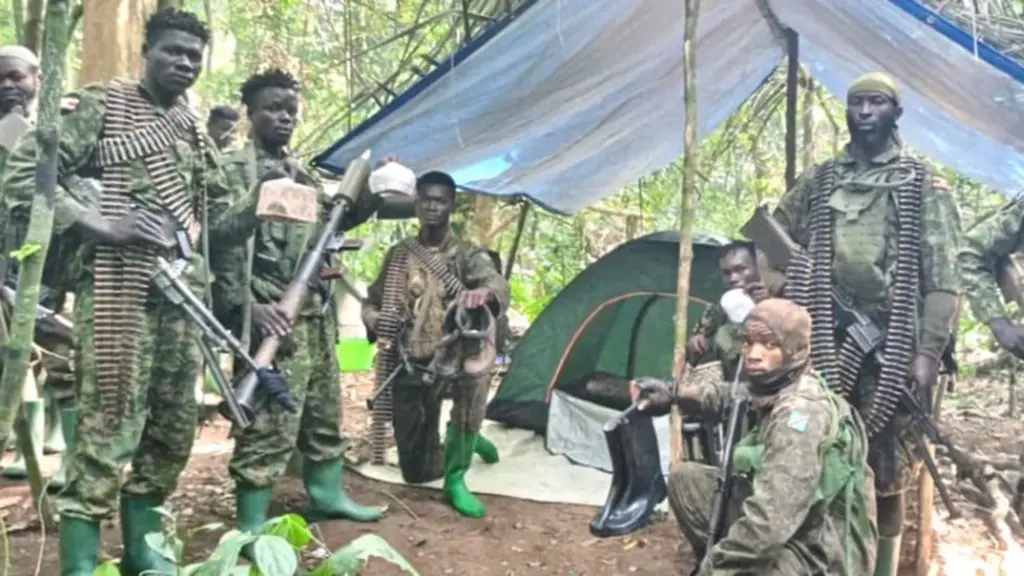 More than 200 rescued from IS-linked group in DR Congo