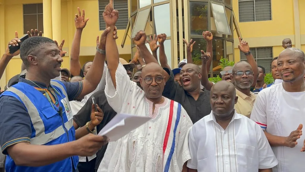NPP polls: Makafui Woanya re-elected as Volta Regional Chairman