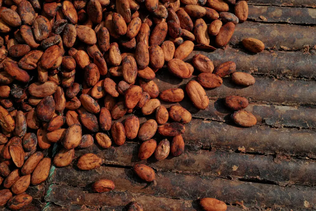 Ghana’s cocoa production is expected to fall 16% next season
