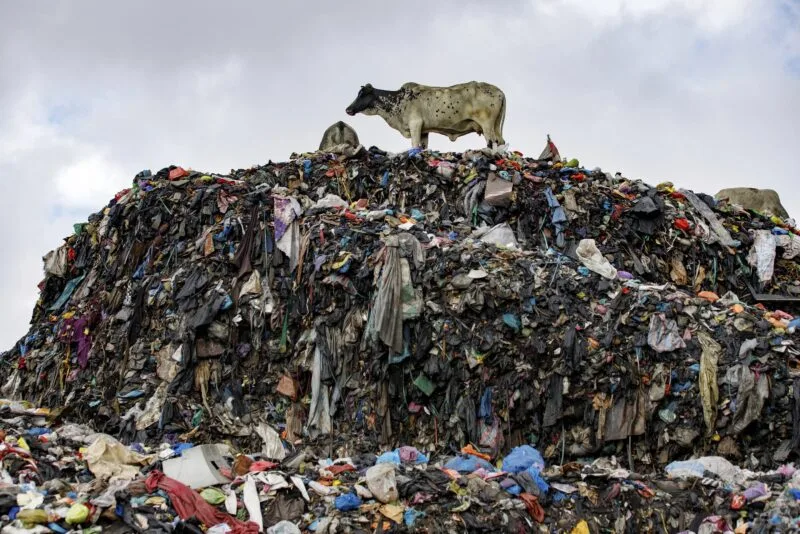 Thousands of Ghanaian pupils attend schools near toxic sites, study finds