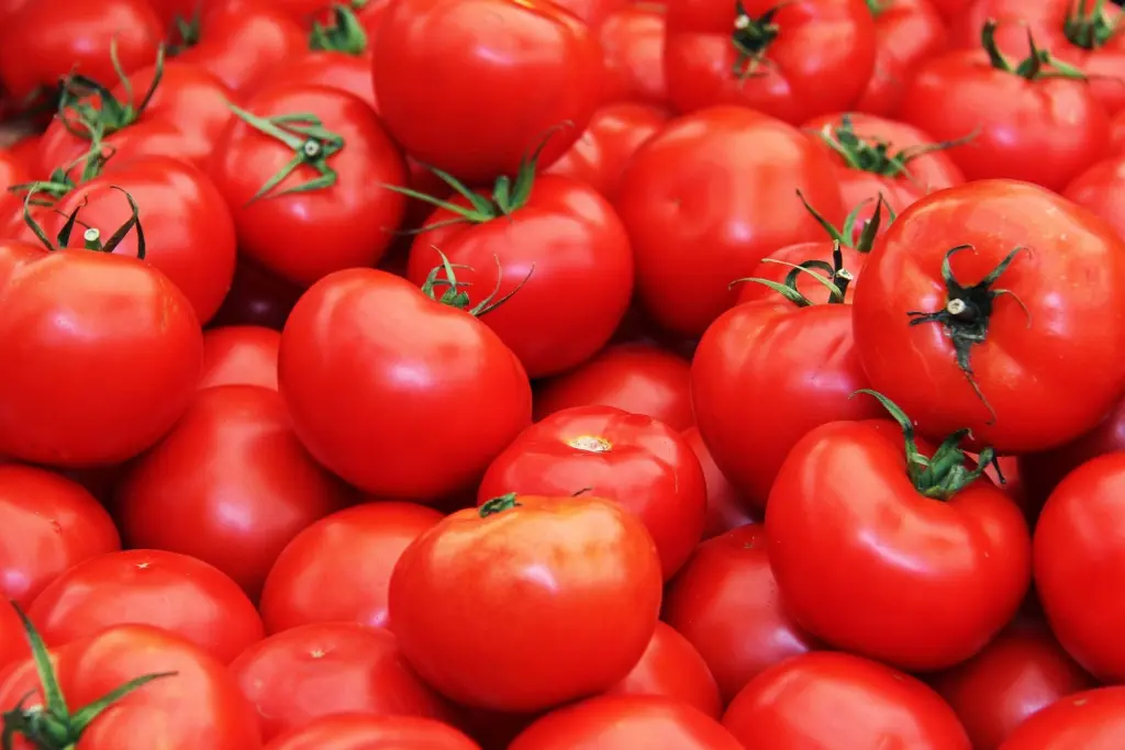 Agribusiness Chamber urges gov’t to activate tomato emergency strategy within 30 days