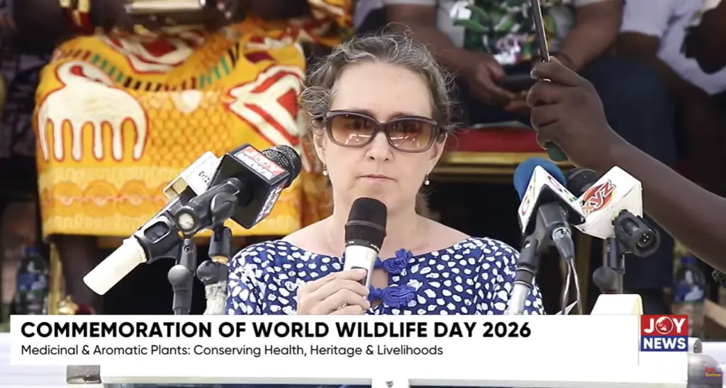 Invest in forests, protect our future — Rebecca Ashley Asare