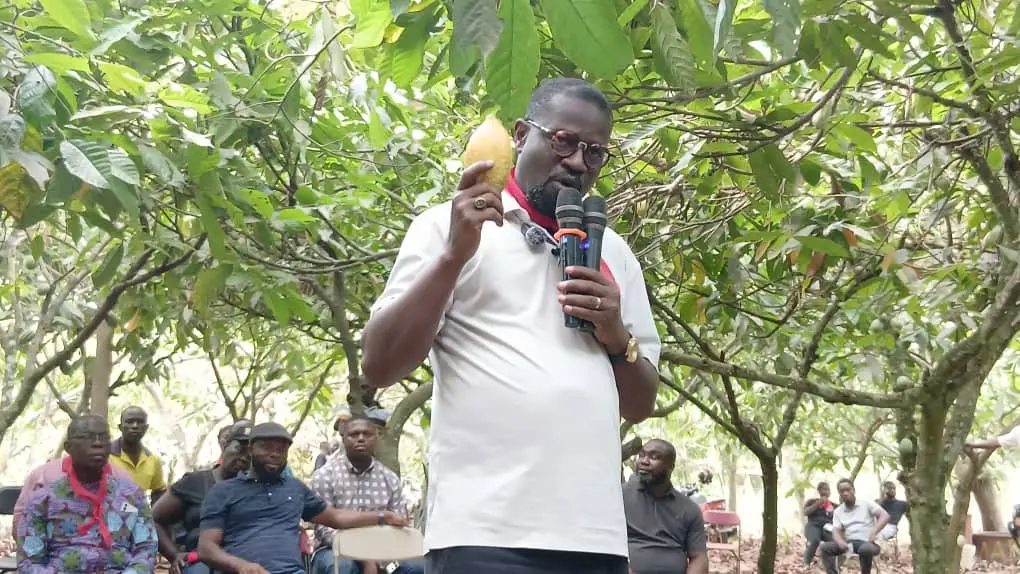 Consult Akufo-Addo on cocoa crisis, Annoh-Dompreh advises Mahama