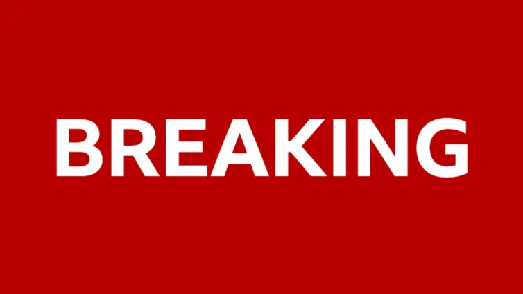 Man drives car into pedestrians in Italy before trying to stab them