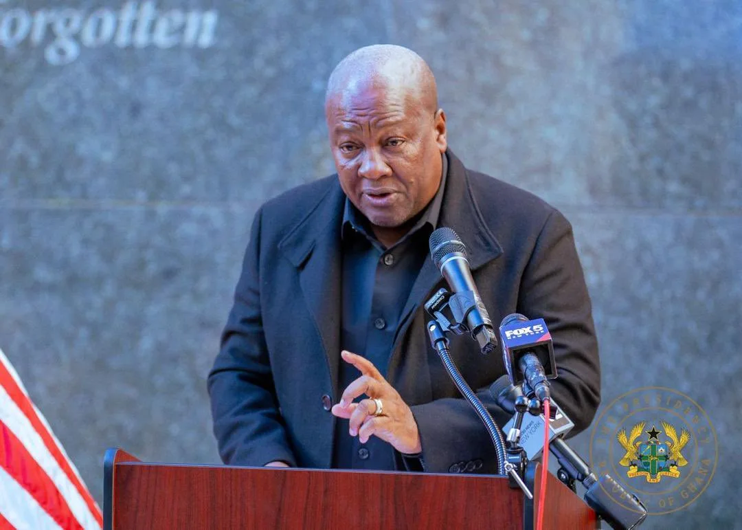 Mahama’s new e-Visa rollout faces legal minefield over existing 10-year deal