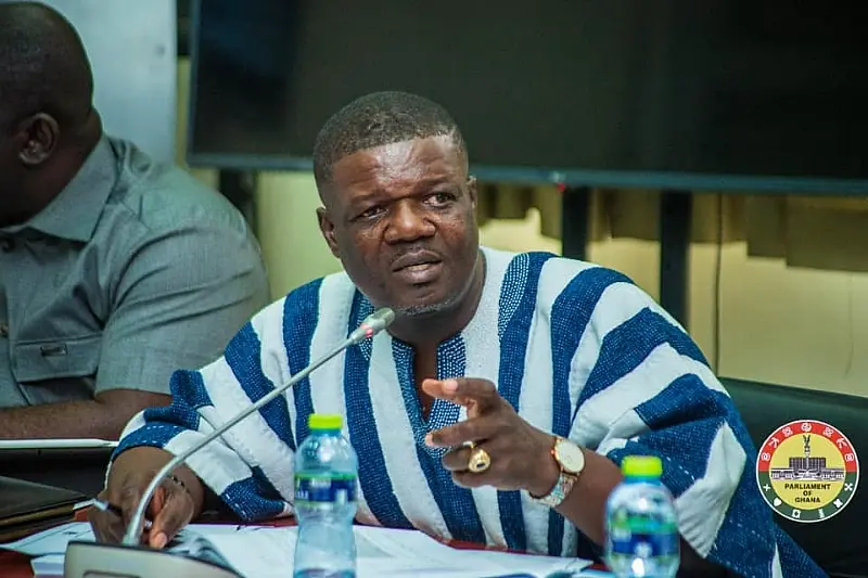 Parliament coordinating diplomatic and legal support for detained MP in the Netherlands – Dafeamekpor
