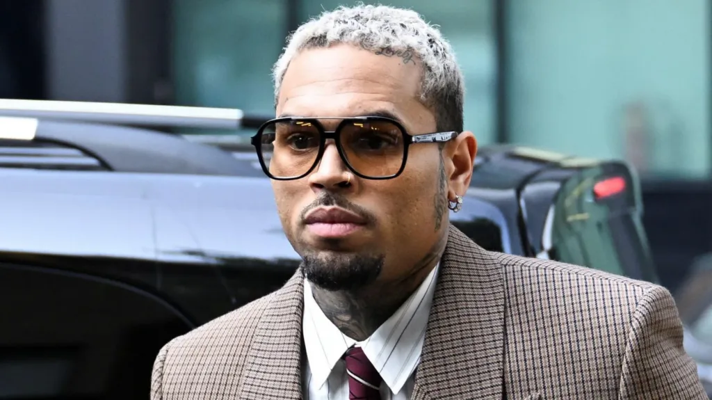Chris Brown found liable in $12.9m dog attack lawsuit involving housekeeper