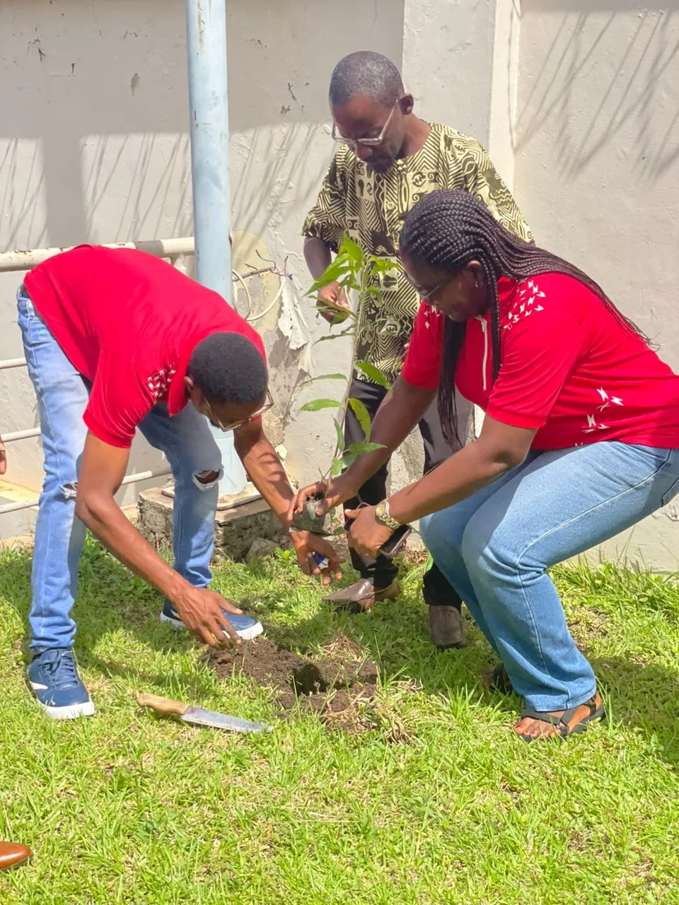 ECG marks World Environment Day with tree-planting drive in Ashanti South