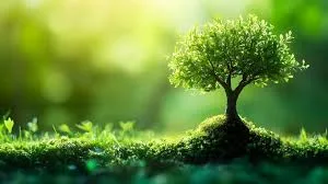 FRRG rejects legal basis for GoldBod’s environmental restoration initiative