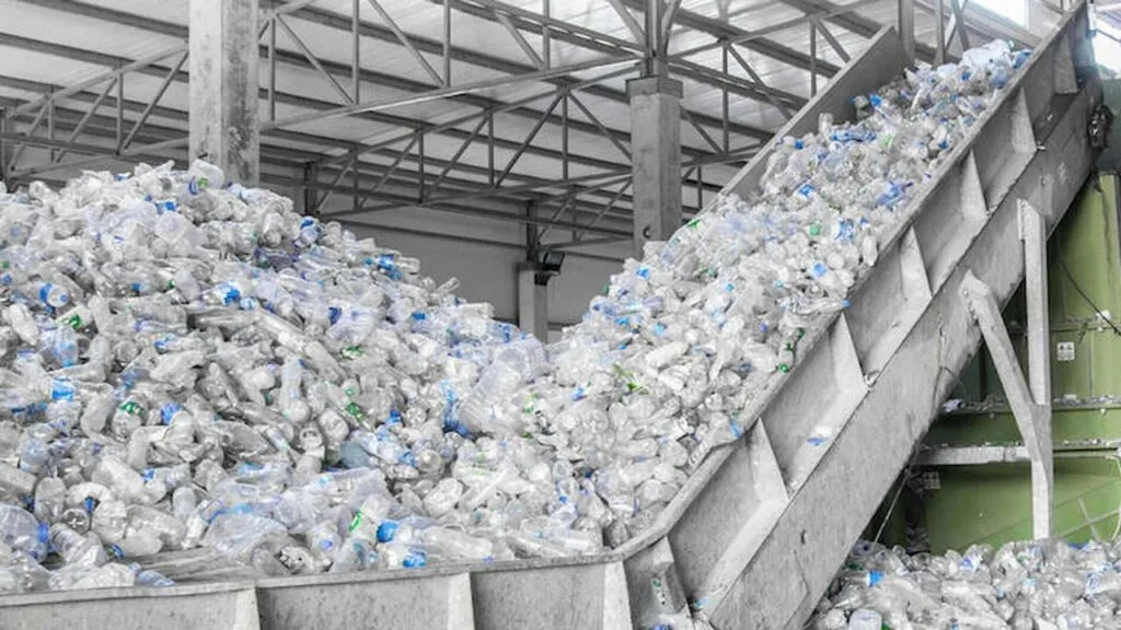 FAO report warns of food safety risks linked to recycled plastics and alternative food packaging