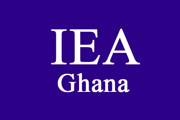 Reject decisively extension of current Tarkwa mining lease for Gold Fields – IEA to government