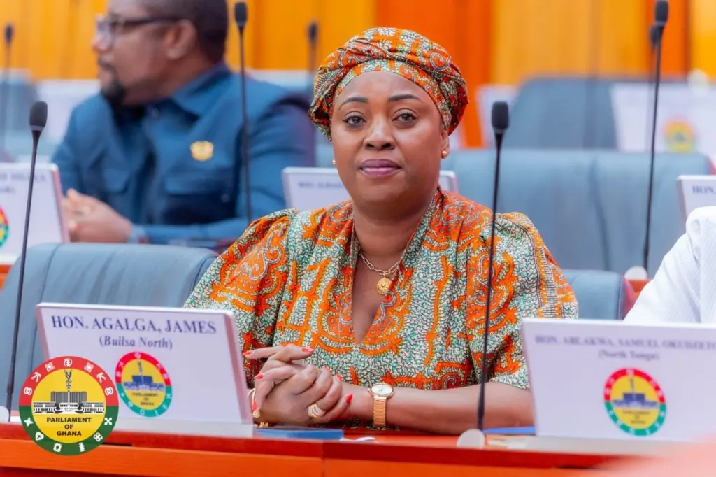 Kintampo South MP advocates proportional representation to promote gender equity in governance