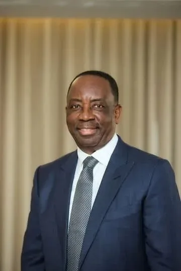 Africa must build its own global business champions – Alex Dadey