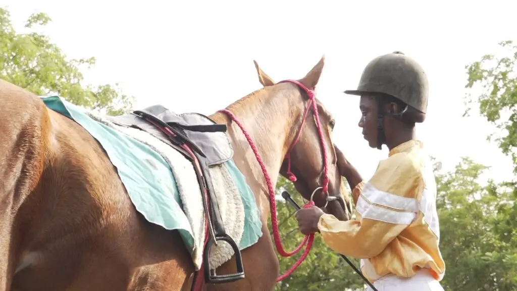 Last Gallop: The rise, fall and fight for Horse Racing in Ghana