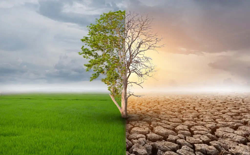 The ICACE Project: Strengthening business resilience through climate action and ESG in Ghana