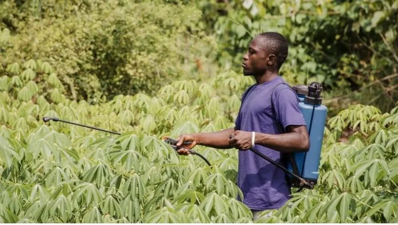 Air pollution from pesticides linked to farmers respiratory illness