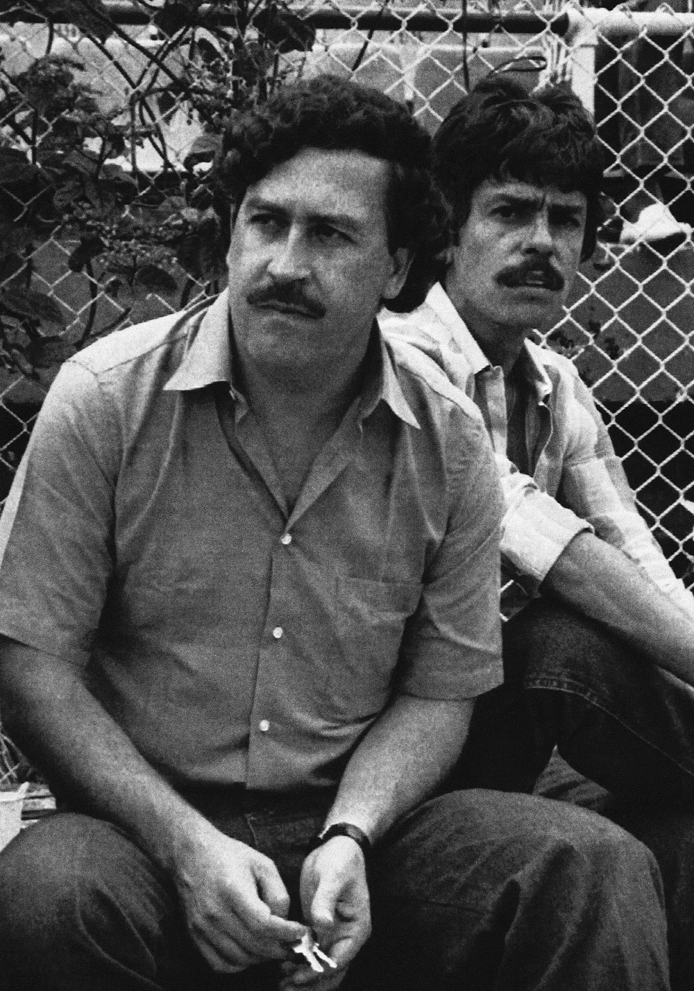 Pablo Escobar’s hippos threaten Colombian Ecosystem