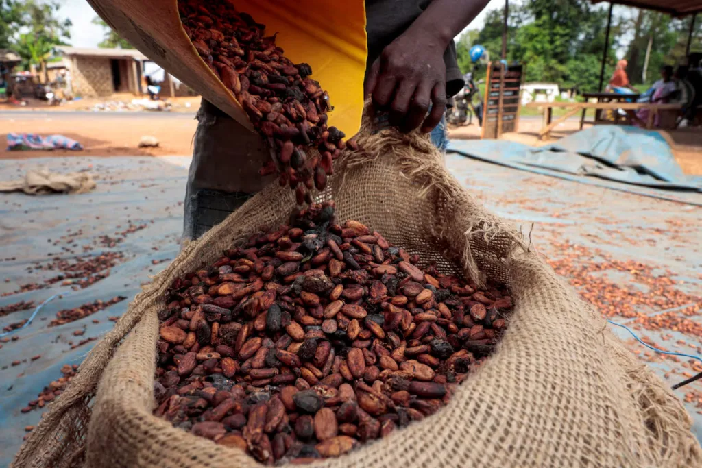 COCOBOD’s shift to local market financing is the right move – BoG