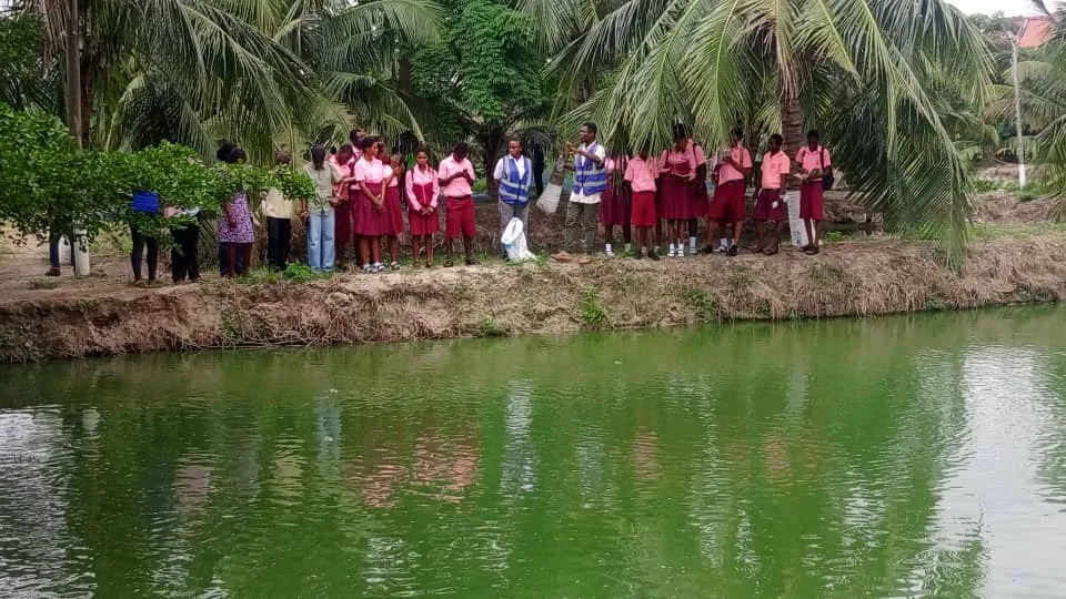 Galamsey destroying fish farms, threatening aquaculture – Fisheries Commission