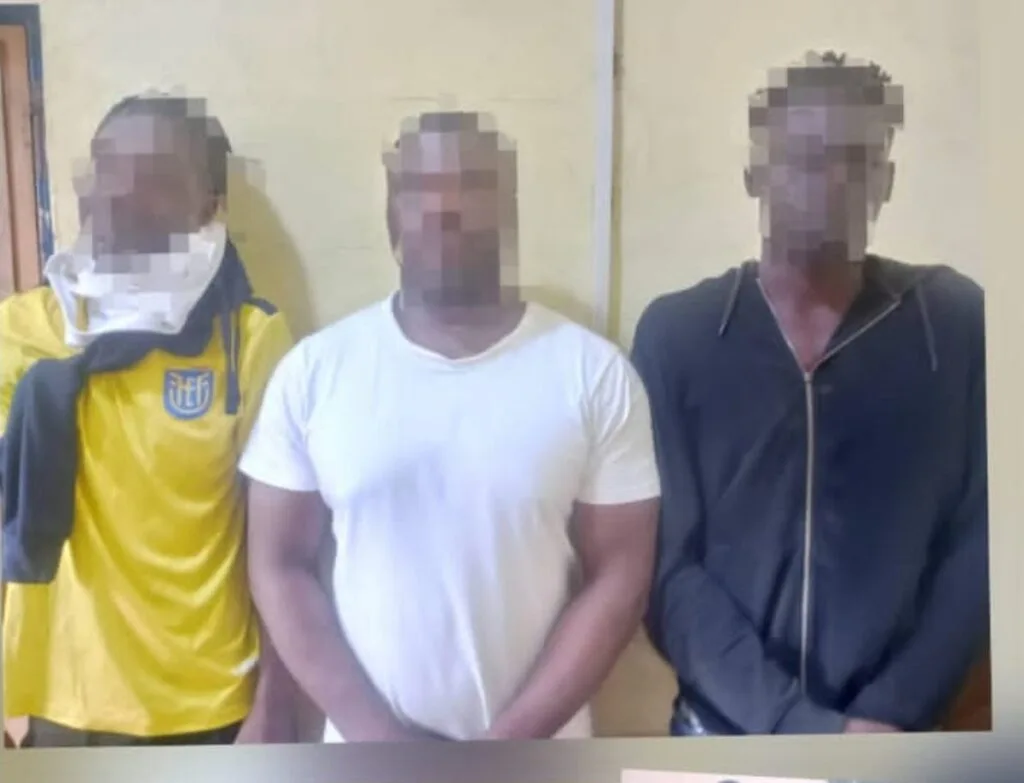Seven arrested after disruption at NPP constituency executive elections in Wiamoase