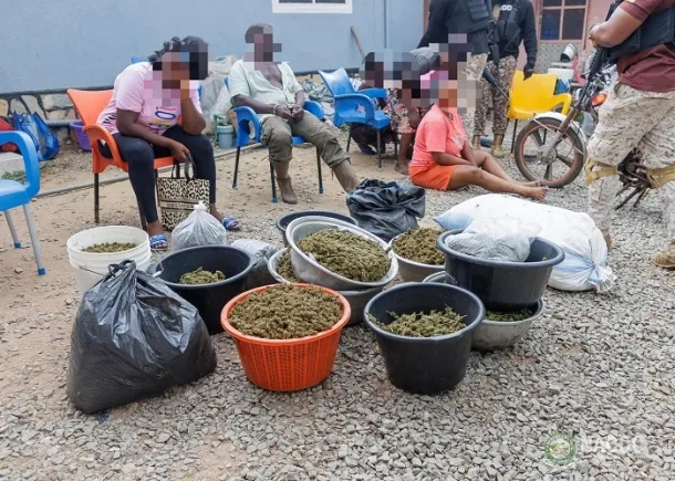 Suspects arrested in NACOC anti-drug raids in Accra and Oti