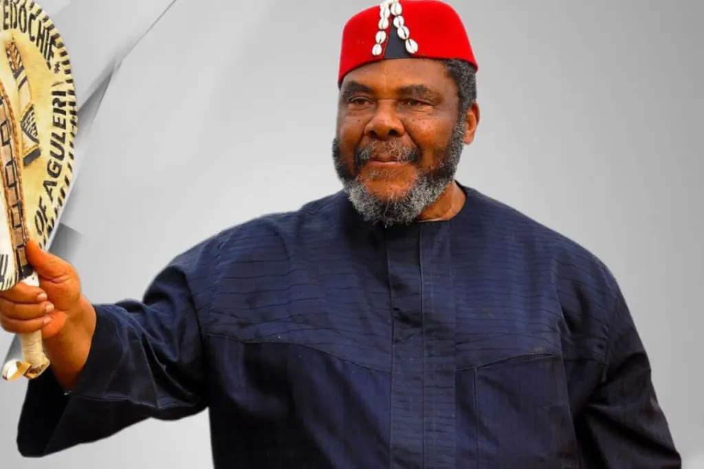 Six politicians I prayed for in 2023 all won their elections – Pete Edochie