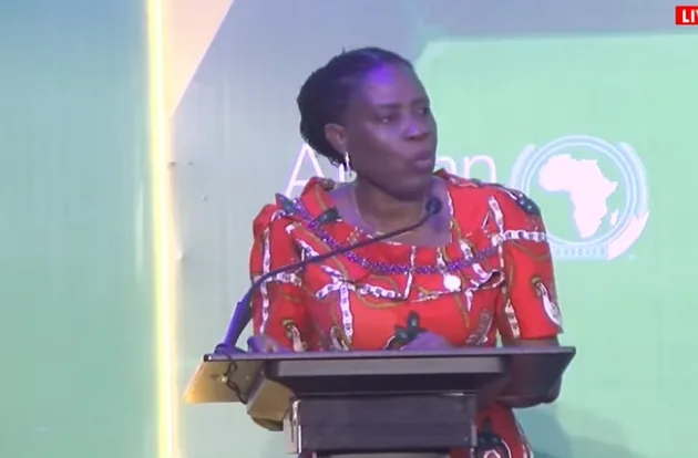 AU Commissioner urges integrated action on health, water and sanitation