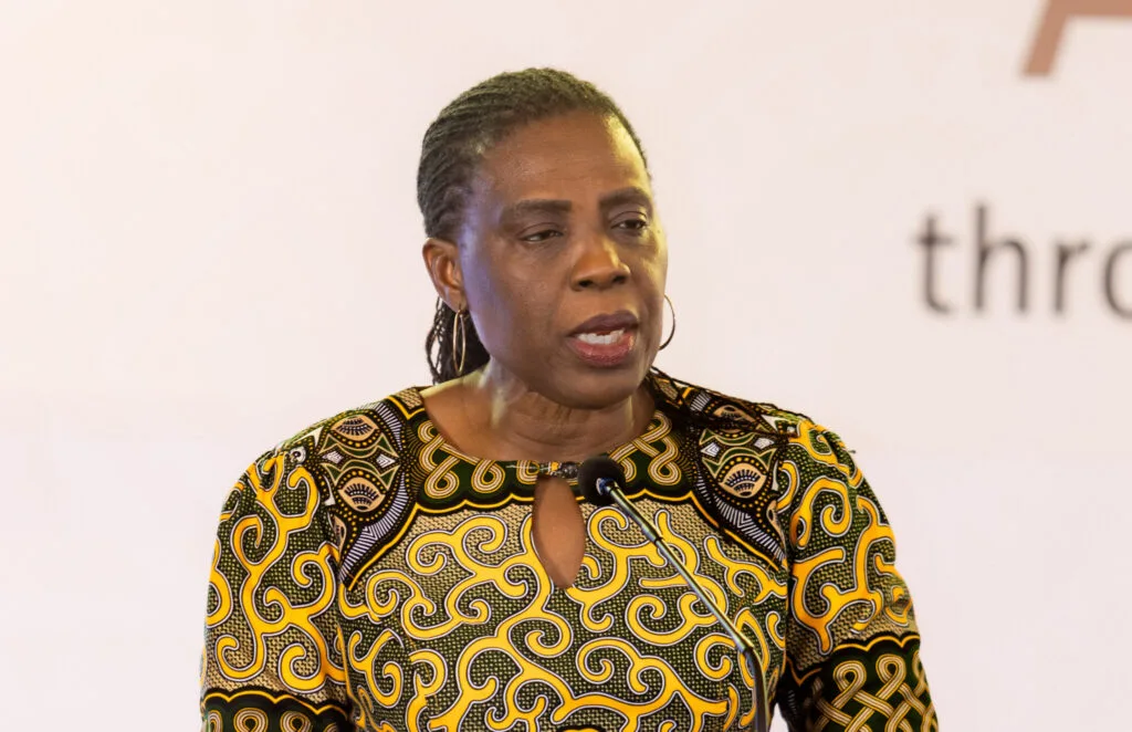 Africa must fund its own health systems to achieve universal healthcare – African Union Commissioner for Health
